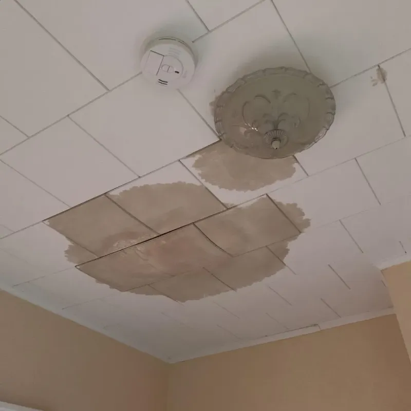 Ceiling Water Damage Repair in Nebraska City, NE