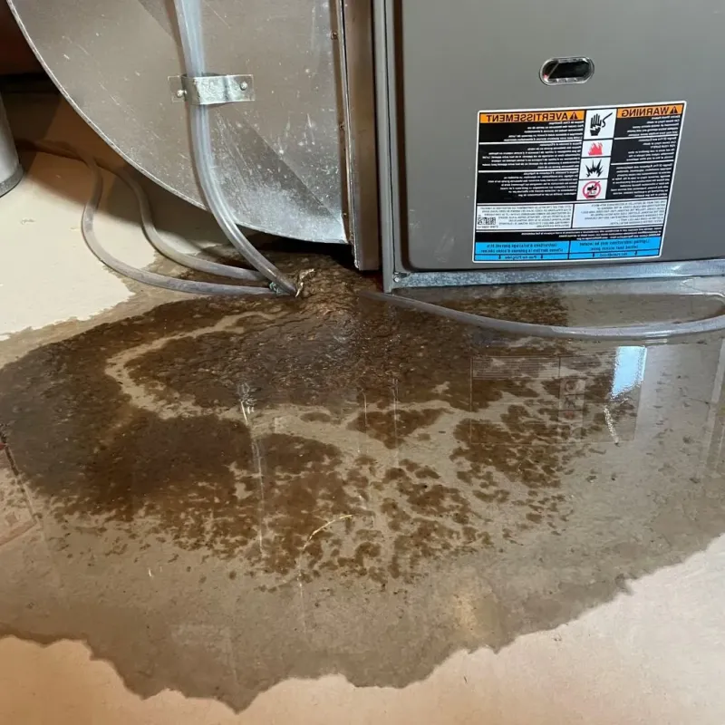 Pipe Burst and Leak Restoration in Nebraska City, NE